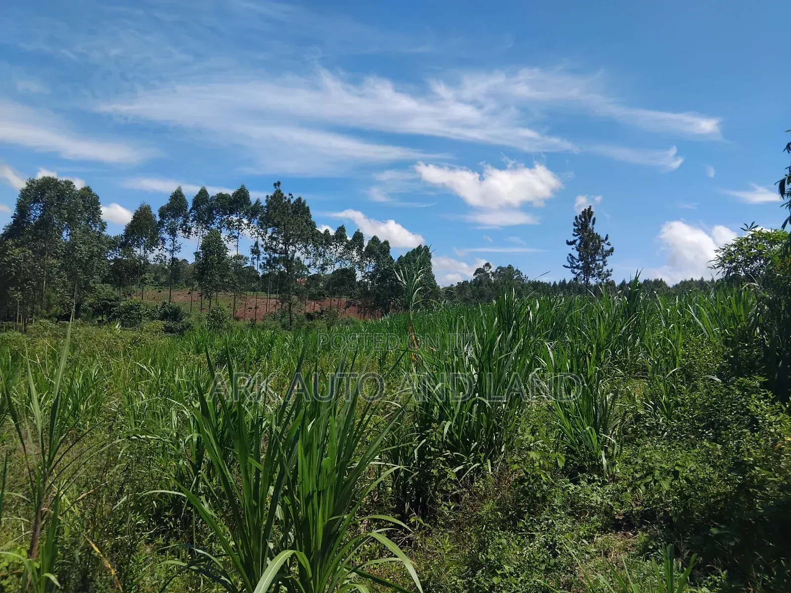 Agricultural Land.