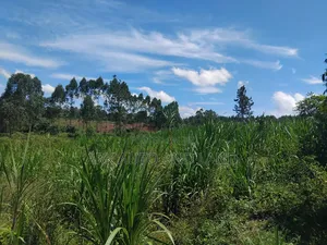 Agricultural Land.