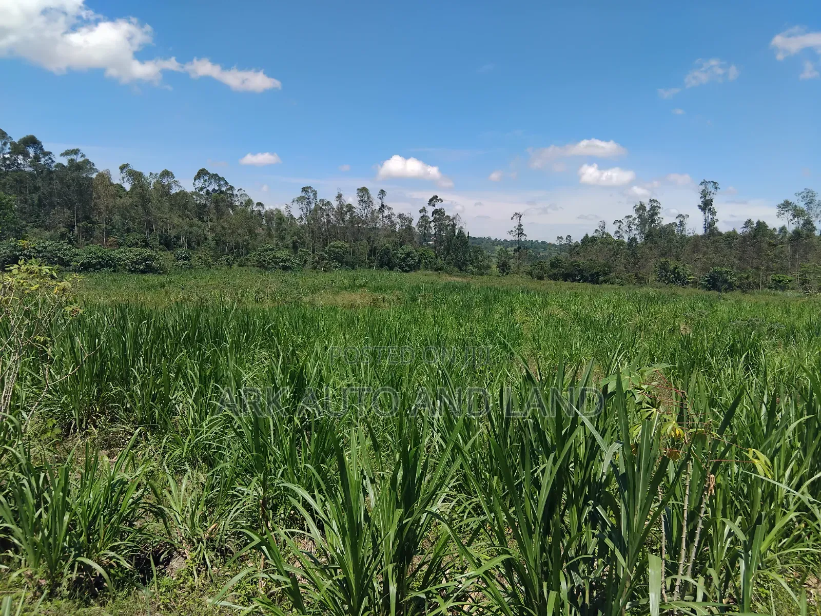Agricultural Land.