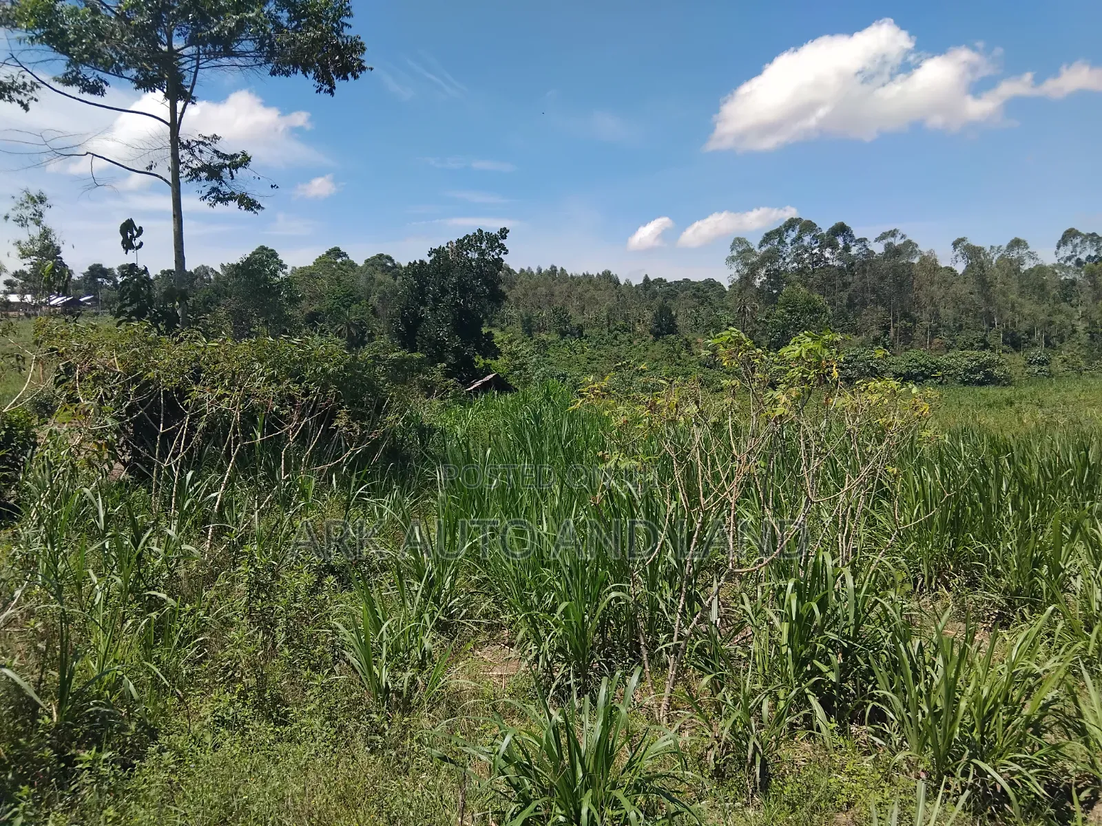 Agricultural Land.