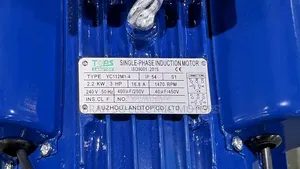Single Phase 3hp Normal Speed Motor