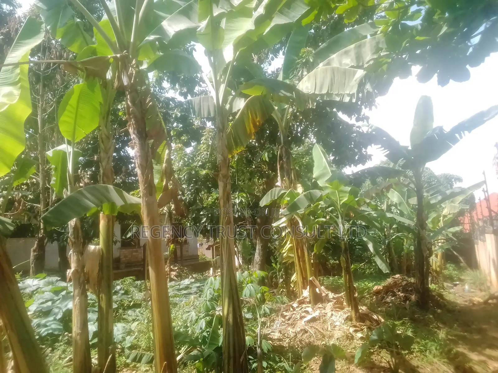4bdrm Maisonette in Kirinya, Central Division for sale