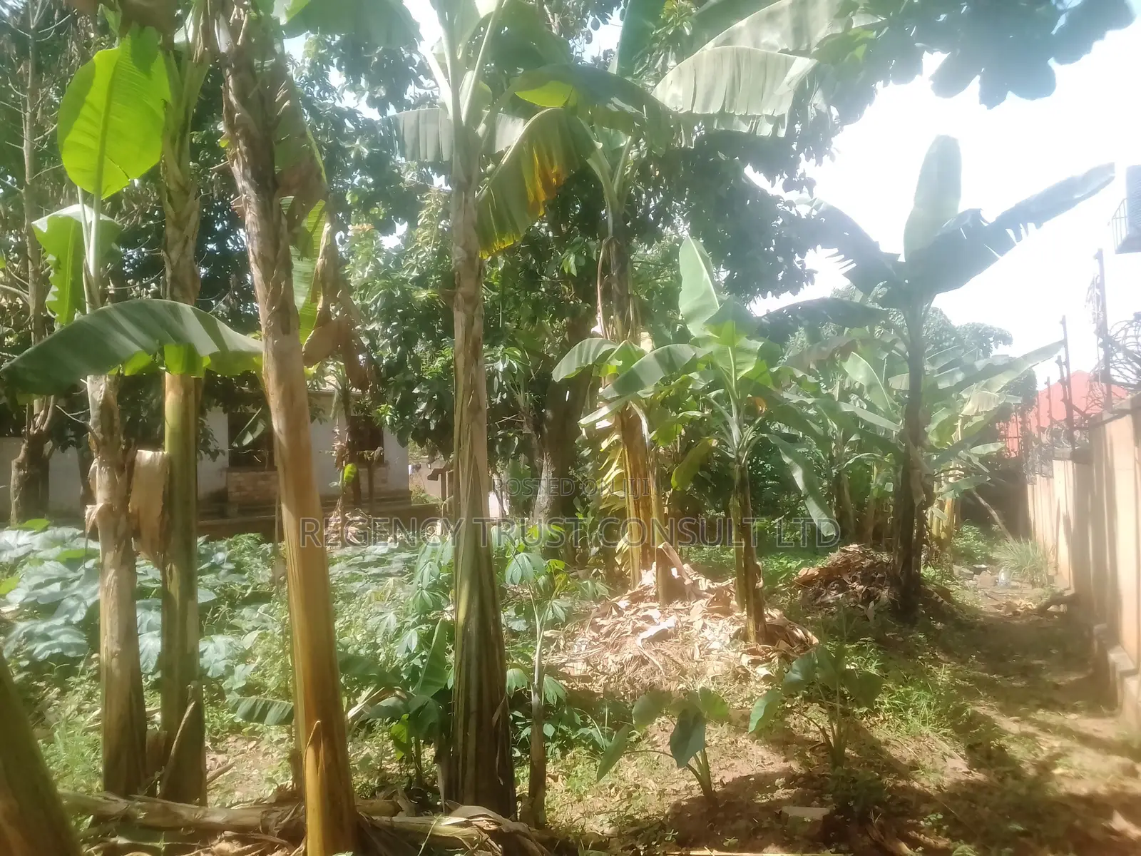 4bdrm Maisonette in Kirinya, Central Division for sale