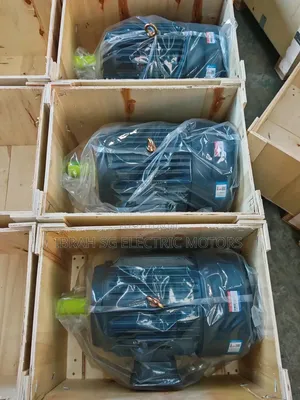Brand New Electric Motors