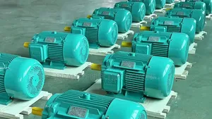 Brand New Electric Motors