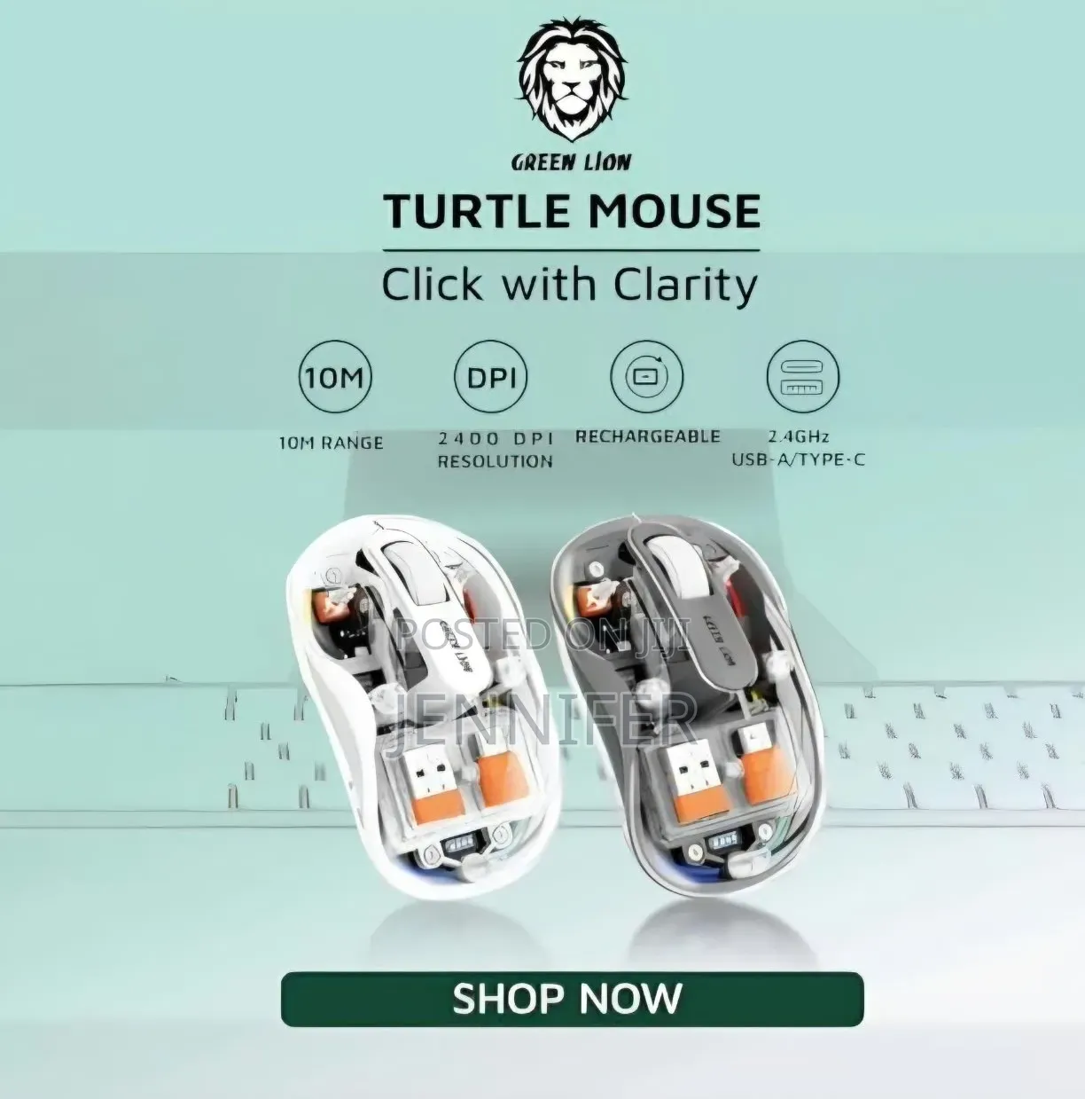Green Lion Wireless Turtle Mouse