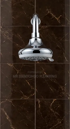 Shower Head With Short Stick Bt Good Quality/ All Types