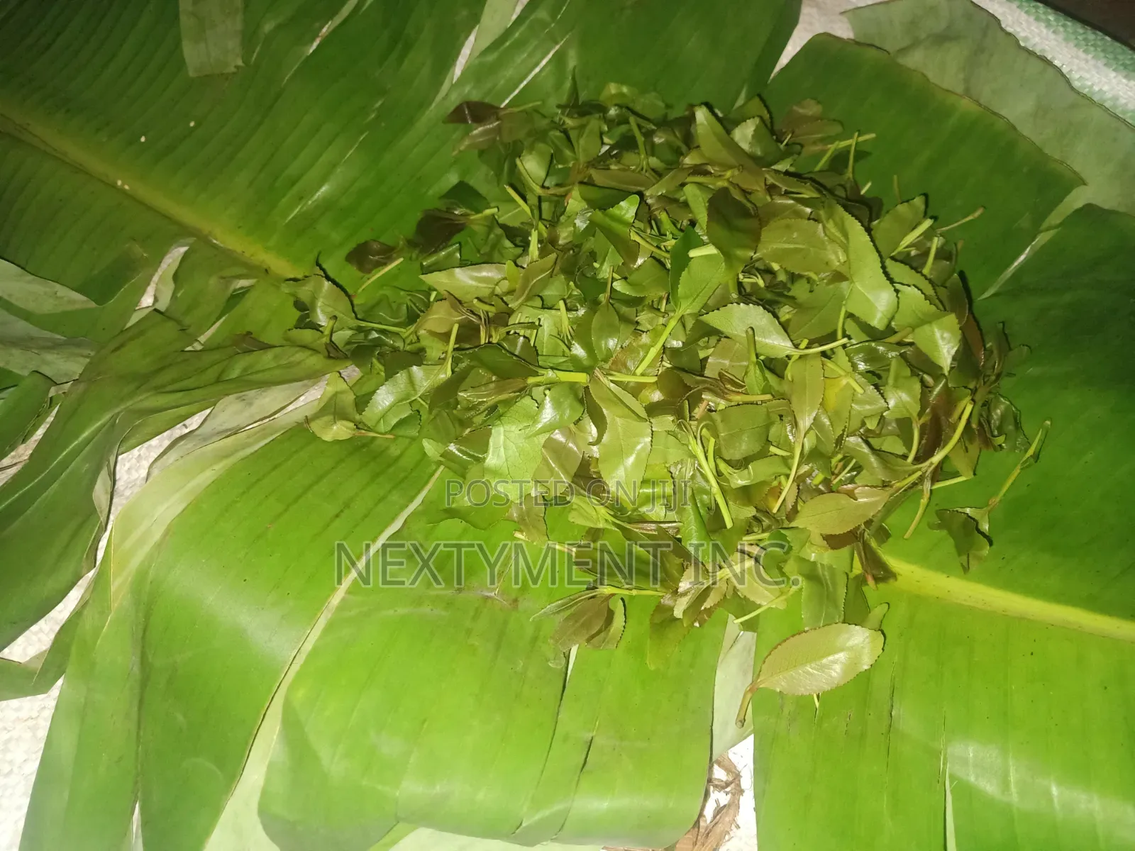Miraa, Mayirunji, Khat, Kakoola for Sale