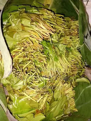 Miraa, Mayirunji, Khat, Kakoola for Sale