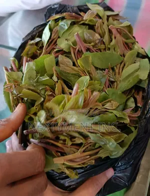 Miraa, Mayirunji, Khat, Kakoola for Sale