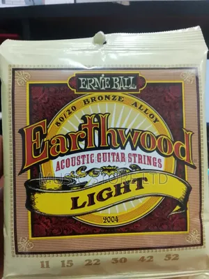 Ernie Ball