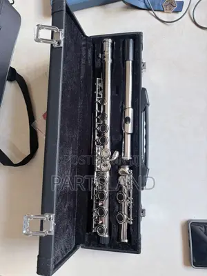 Professional Flute