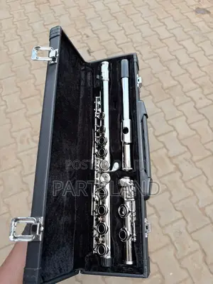 Professional Flute
