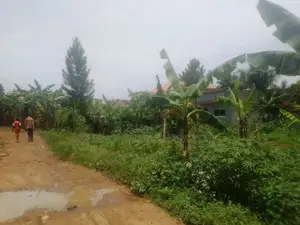 38 Decimals Are Available for Sale in Kirinya, Bukasa