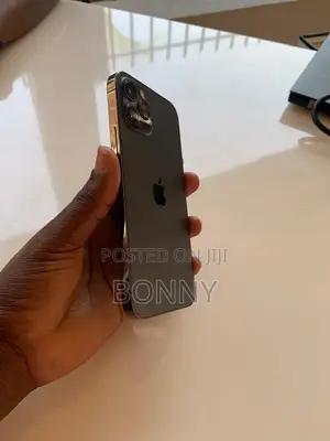 Apple iPhone 12 Pro 128 GB Gray