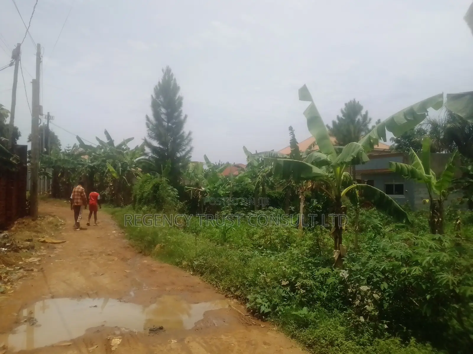 38 Decimals Are Available for Sale in Kirinya, Bukasa