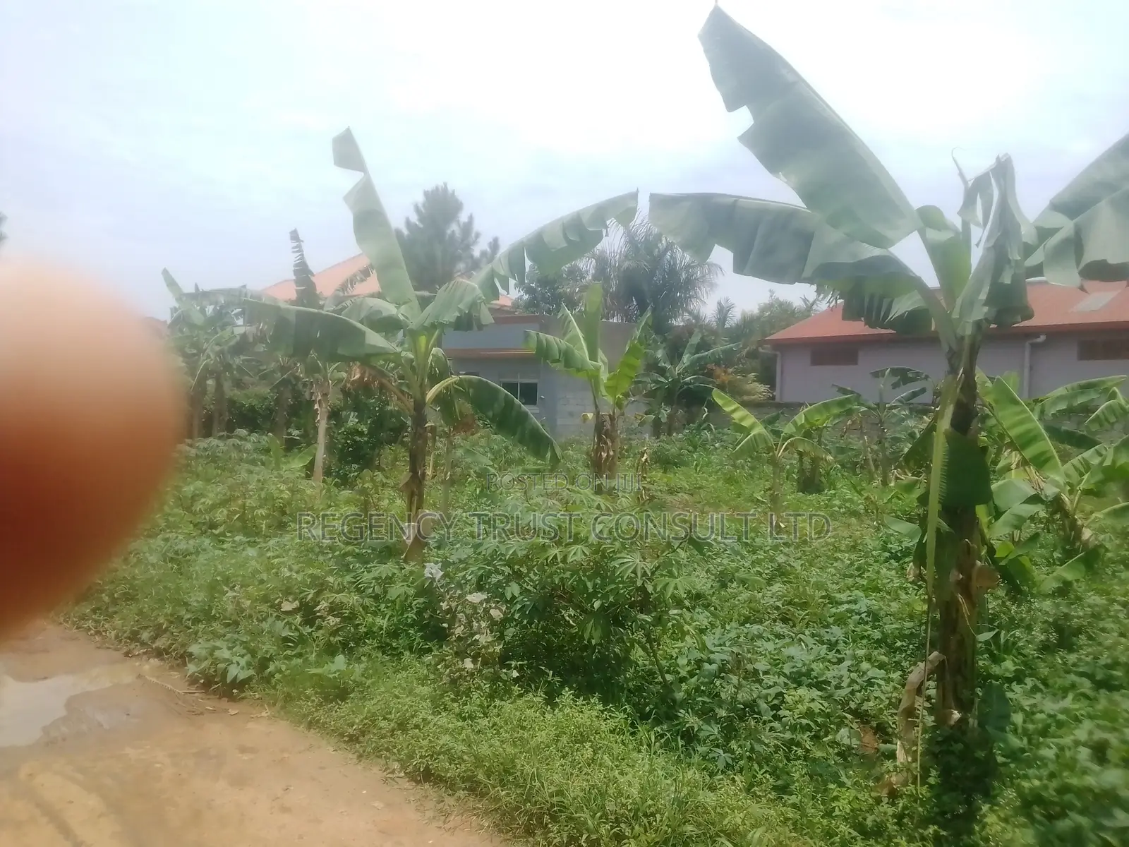 38 Decimals Are Available for Sale in Kirinya, Bukasa