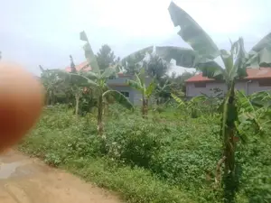 38 Decimals Are Available for Sale in Kirinya, Bukasa