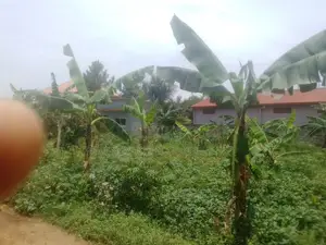 38 Decimals Are Available for Sale in Kirinya, Bukasa