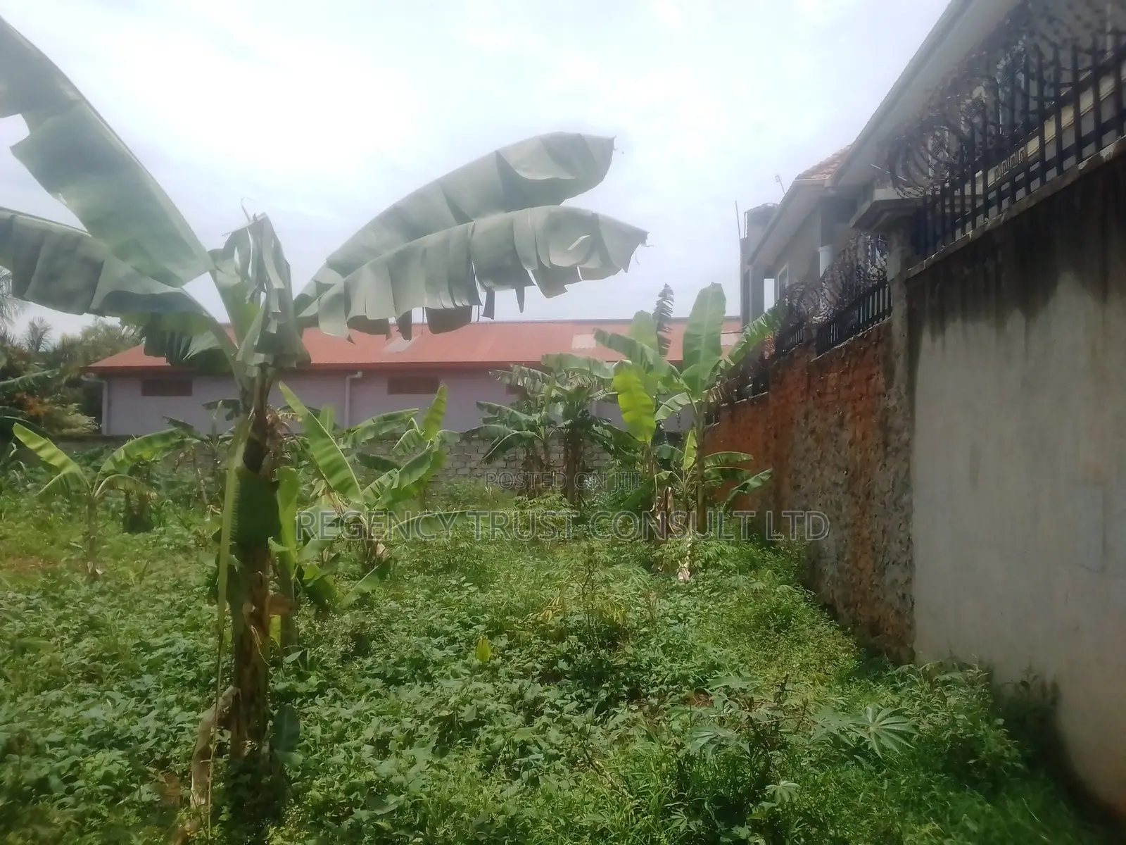 38 Decimals Are Available for Sale in Kirinya, Bukasa