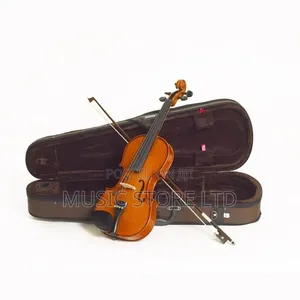 Stentor Violin