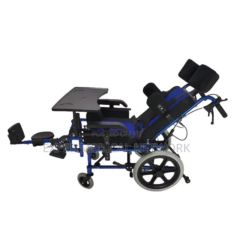 Celebral Pulsey Wheelchair