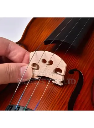 Violin Bridge