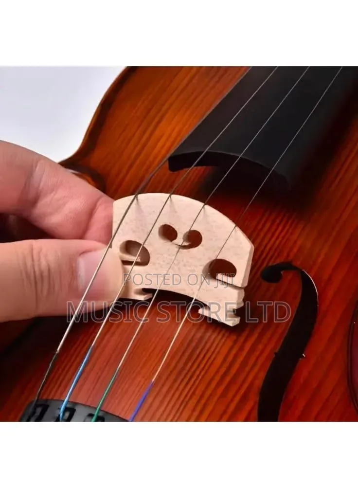 Violin Bridge