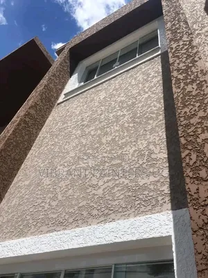 Exterior Texture Painting Book Now
