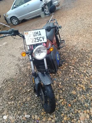 Bajaj Boxer 100 2024 Green