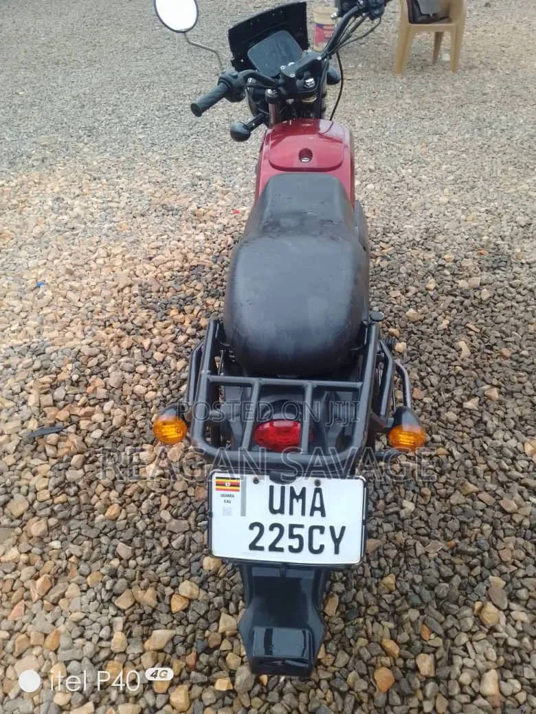 Bajaj Boxer 100 2024 Green