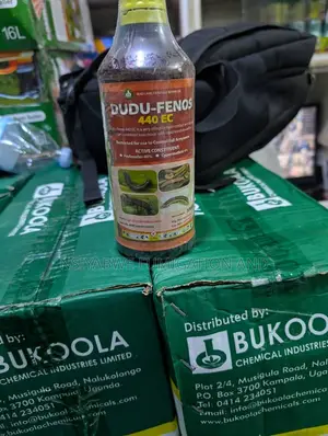 Dudu Fenos 44 EC