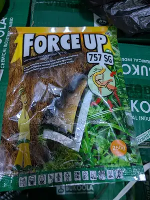  Force Up Xl
