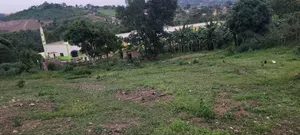 Wakiso Kaliiti Town