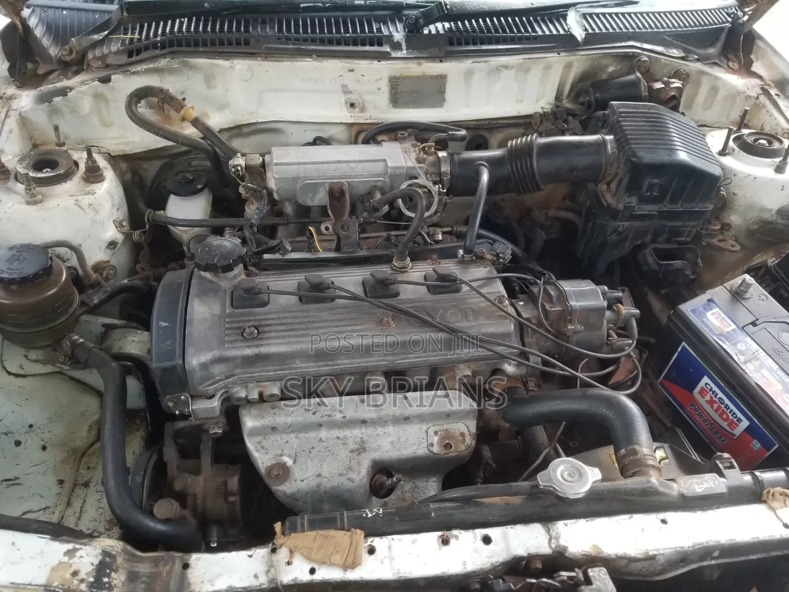 Toyota Starlet 1999 White