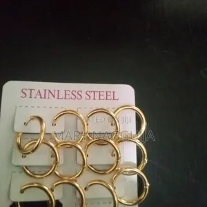 Stainless Steel Hoop Earrings