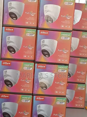 Dahua HDCVI Full-Color Eyeball Security Cameras With Smart Light