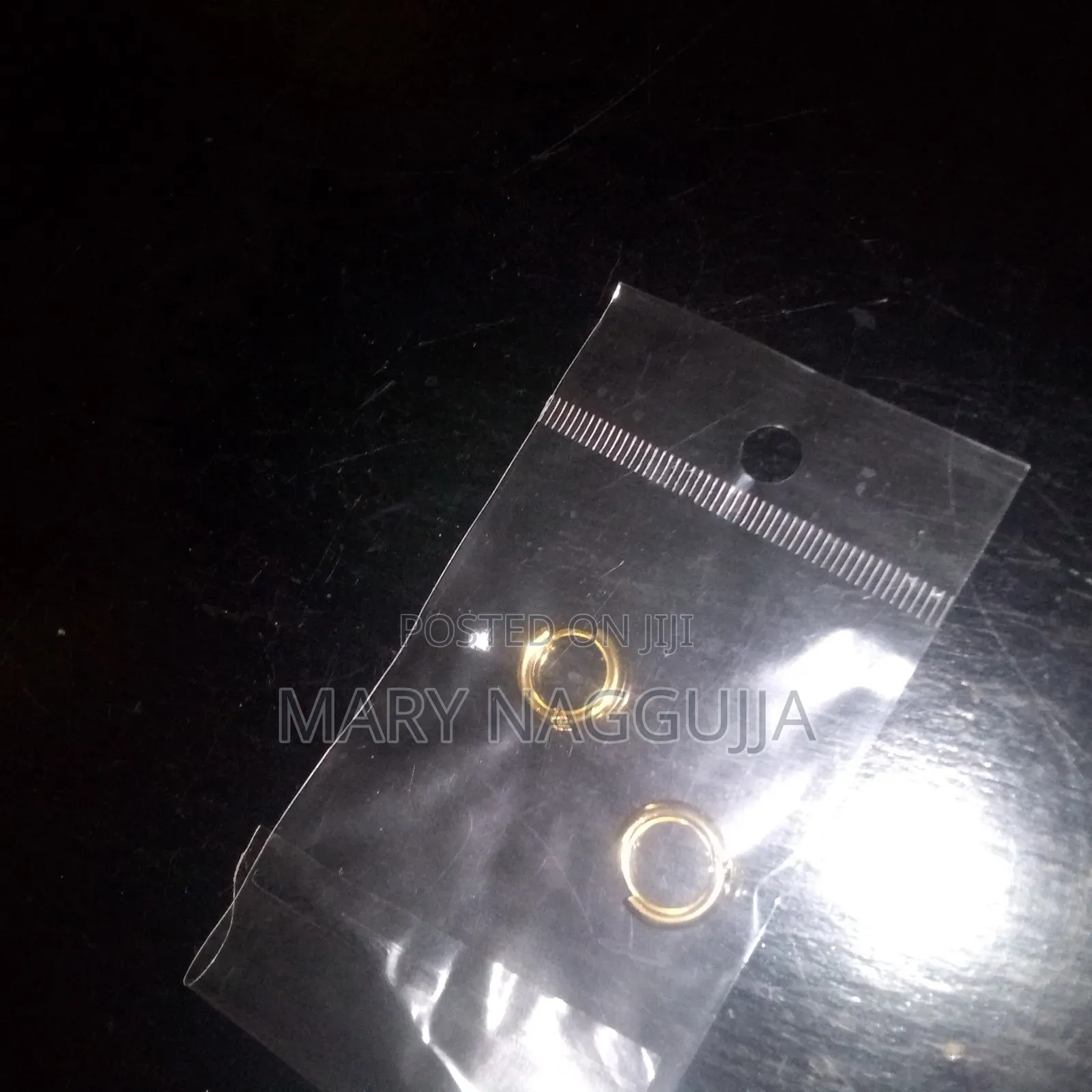 Stainless Steel Hoop Earrings