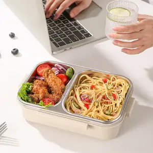 Reusable Stainless Steel Lunchbox