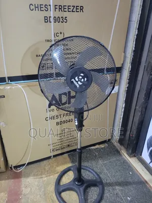 Electric Stand Fan Panda