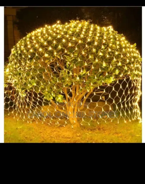 Led Net Mesh Fair Decorative String Light for Christmas and Parties