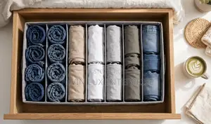 Partitioned Wardrobe Organizer