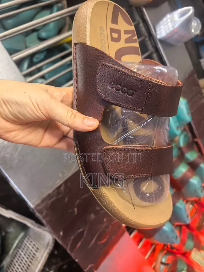 Everyday Explorer Sandals