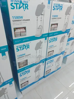 WINNING STAR ST-5025 Electric Steam Iron Quality Clothes Iron 1580W