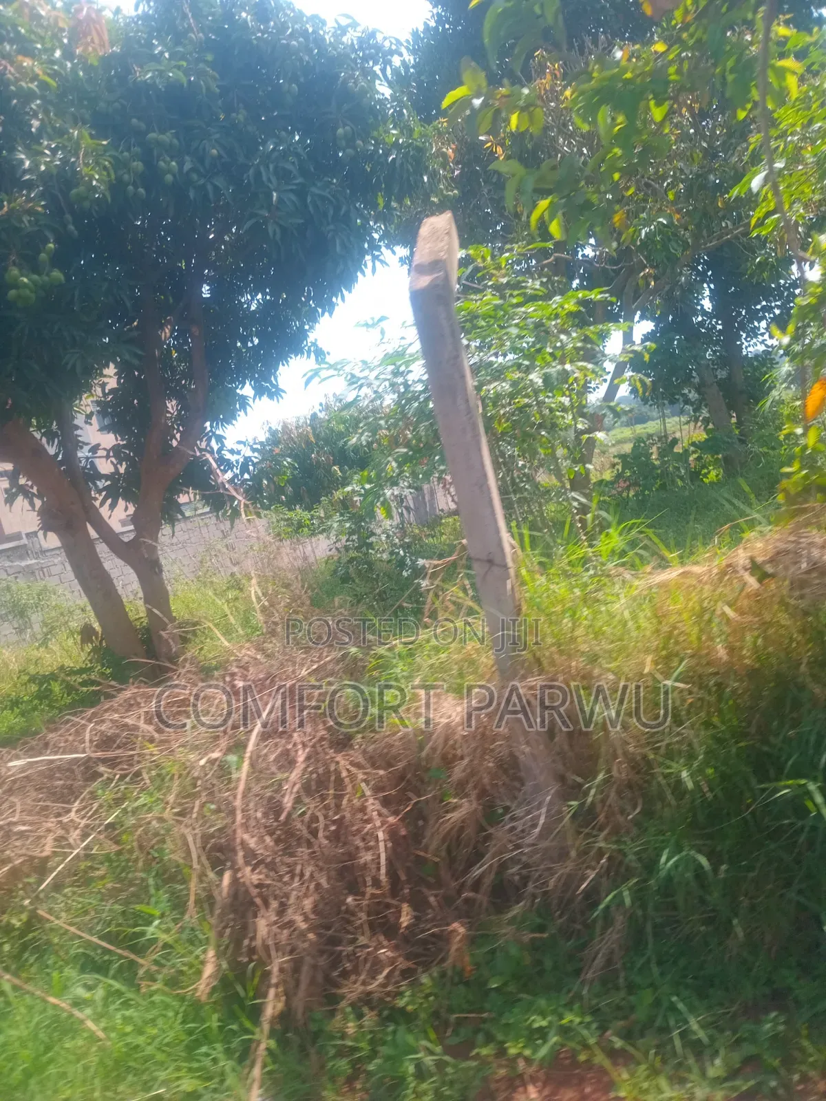 Kaga Plot at Kitende