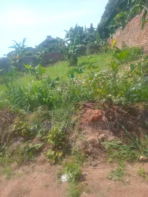 Kaga Plot at Kitende
