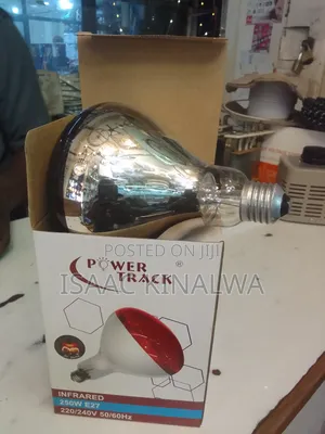 Chicken Bulbs