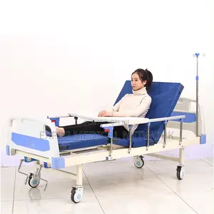 Abs Double Crank Bed