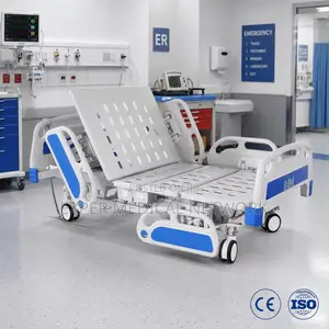 Icu Electric Bed