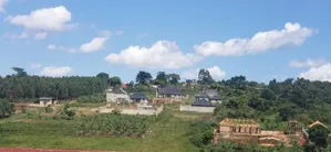 Prime Plots for Sale at Bujjuko Harmony Land Estate Along Mityana Road